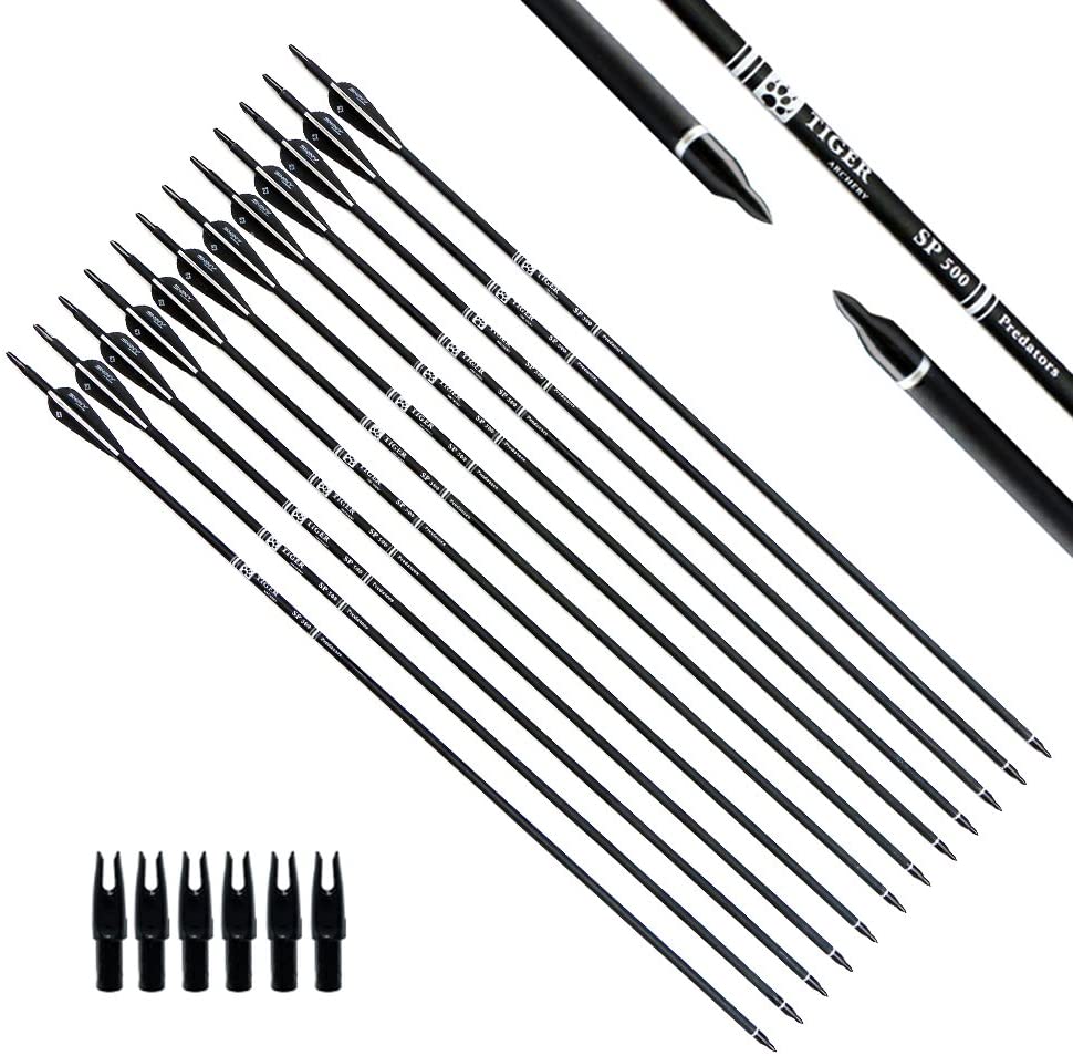 Tiger Archery 30Inch Carbon Arrow Practice Hunting Arrows with Removable Tips for Compound & Recurve Bow(Pack of 12)